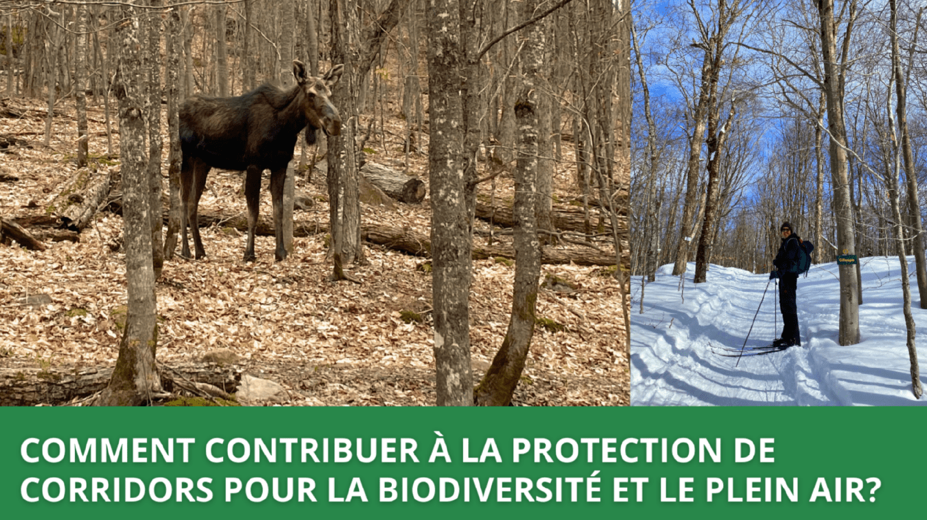 Comment contribuer à la protection de corridors pour la biodiversité et le plein air