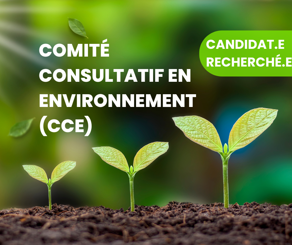 Appel de candidatures - Membre du Comité consultatif en environnement CCE