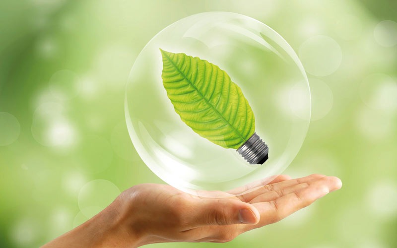 Plan d'action en environnement 2024-2025