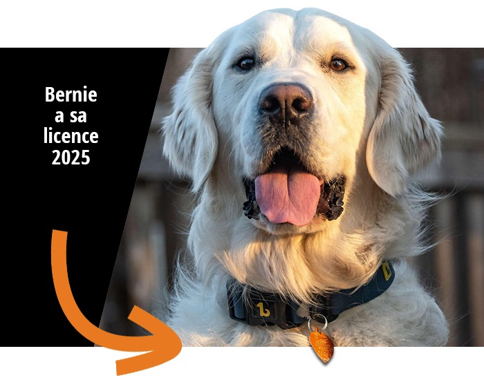 AVIS AUX PROPRIÉTAIRES D'ANIMAUX